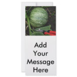 Pumpkin in the Garden rack cards