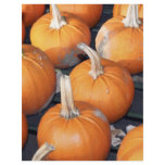 pumpkin line-up flyers