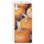 pumpkin line-up rack cards