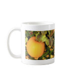 Pumpkin Mug