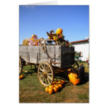 Pumpkin Note Card