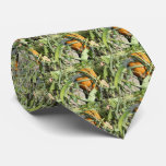 Pumpkin On Vine Nature Photography Neck Tie