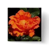 "Pumpkin Orange Rose" Button