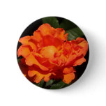 "Pumpkin Orange Rose" Pin