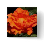 "Pumpkin Orange Rose" Pin