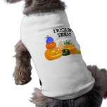 Pumpkin party pet clothing