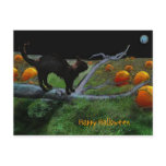 Pumpkin patch, Happy Halloween postcards