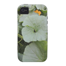 Pumpkin patch iPhone 4 cover
