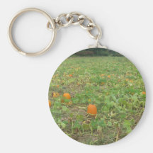 Pumpkin patch key chain