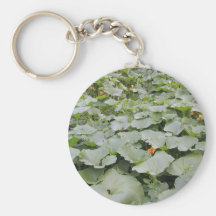 Pumpkin patch key chains