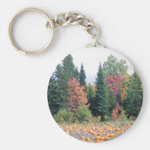 Pumpkin Patch Key Chains