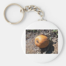 pumpkin patch keychain