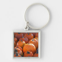 Pumpkin Patch Keychain