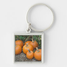 Pumpkin Patch Keychain