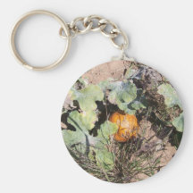 pumpkin patch keychains
