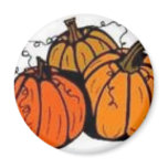 pumpkin patch magnets