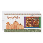 pumpkin patch photo cards