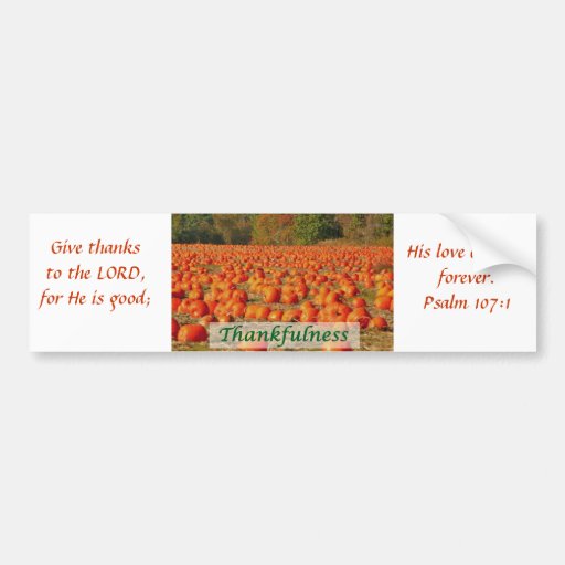 Pumpkin Patch - Thankfulness Bumper Sticker