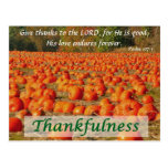 Pumpkin Patch - Thankfulness Postcards