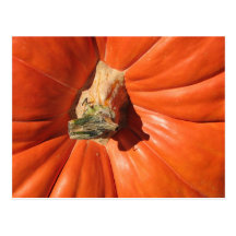 Pumpkin Post Cards