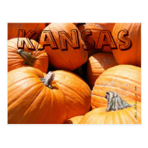 Pumpkin Postcard #1