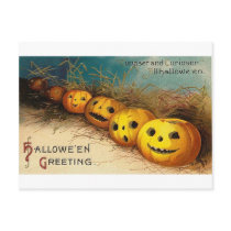 Pumpkin Row - Curioser and Curioser Postcard
