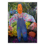 Pumpkin Scarecrow Greeting Cards