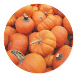 Pumpkin Sticker