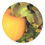 Pumpkin Sticker