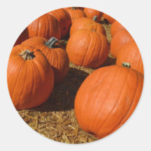 Pumpkin Stickers