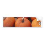 Pumpkin Time bumper stickers