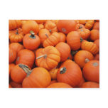 Pumpkin Time postcards