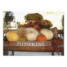 Pumpkin Welcome Print Photo Art
