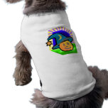 pumpkin witch pet clothing