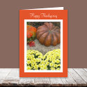 Pumpkins and Flowers Thanksgiving Sentiment cards