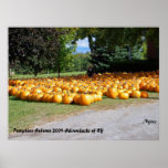 Pumpkins-Autumn 2009-Adirondacks of N... Poster