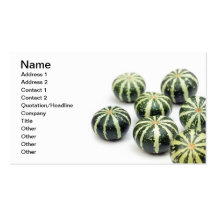 Pumpkins Business Card Templates