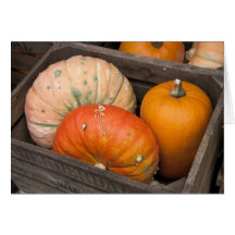 Pumpkins for sale greeting card