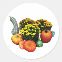 Pumpkins, Gourds and Mums Stickers