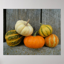 Pumpkins & Gourds | Rustic Barn Wood Poster