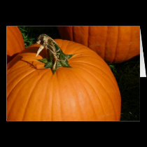 Pumpkins cards