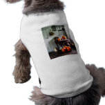 Pumpkins in Kitchen Doggie Tshirt