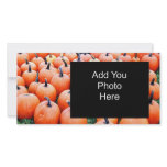 Pumpkins photo cards