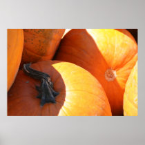 Pumpkins Print