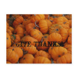 pumpkn, Give Thanks! postcard