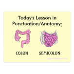 Punctuation/Anatomy Lesson postcard