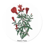 Punica Nana stickers