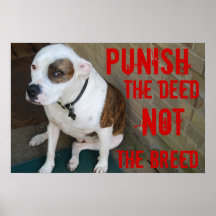 Punish the deed ~ Not the breed Posters
