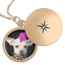 Punk Chihuahua gold finish locket
