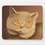 Punkin' Eyes mousepads